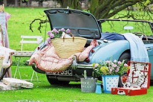 coche para picnic1